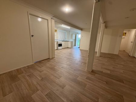 Neat and Tidy High Set with Fresh Pain and Flooring - Photo 4