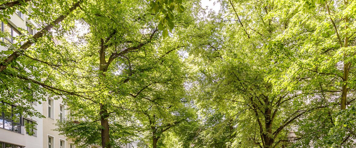 Perfect Urban Living - Photo 1