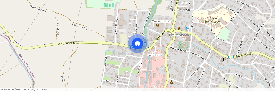 Laufenstr. 18, 4226, Breitenbach