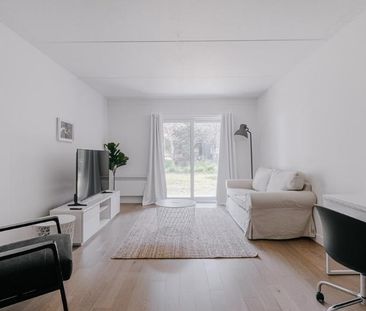 Appartement 3 ½ à louer Sainte-Foy / Sillery octobre 2025 - Photo 2