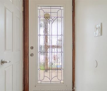 For Lease - 248 Pierre, Windsor, Ontario - Photo 4