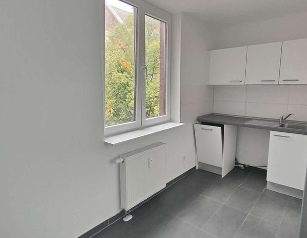 Wohnen im Schwanenquartier / moderne und renovierte 3 Zimmerwohnung mit Küche! - Foto 1