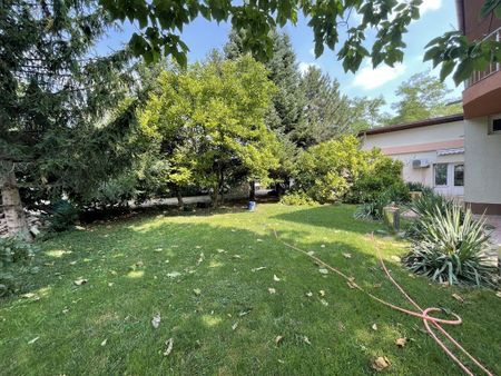 VOLUNTARI - Catedrala | Casa 7 Camere + Constructie Secun... - Fotografie 4