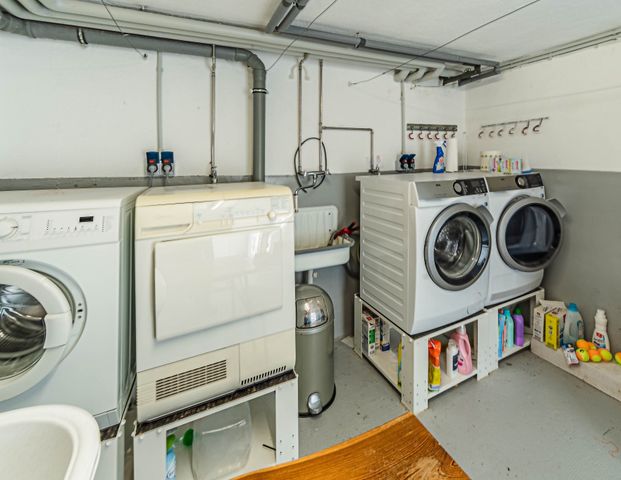 City-Residence: Schöne gemütliche 3 Zimmer Wohnung in grüner Lage - Foto 1