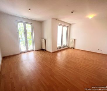 Ruhiges Single-Appartement in attraktiver Lage! - Foto 1