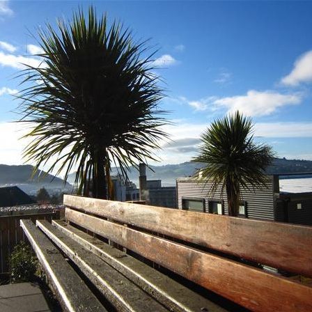 Unit B, 18 Canongate, City Centre, Dunedin - Photo 1