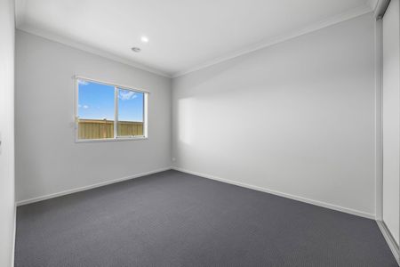 Spacious Family Home In Bonshaw - Photo 5