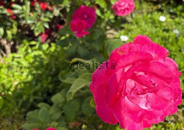 Alquiler de piso en N-340, 20