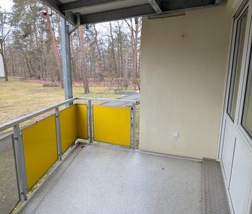 3 Zimmer im Grünen! Erdgeschosswohnung mit perfekter Raumaufteilung... - Foto 5