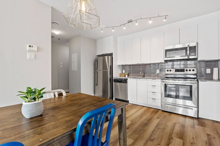 For Lease - 305 Rideau Street, Lower Town - Sandy Hill, Ontario - Photo 4