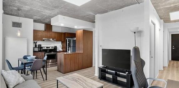 Condo Style Loft 1 chambre a coucher Griffintown 1085 Smith, Montreal FULLY FURNISHED/MEUBLÉ, gym, pool, spa, appliances, piscine, electros - Photo 2