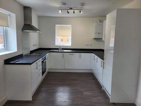 The Darwin - Photo 4