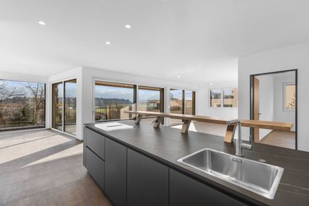 First rental: Large space – Luxury apartment - Foto 4