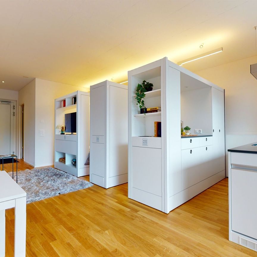 Möblierte Singlewohnung im Henz Areal - Foto 1