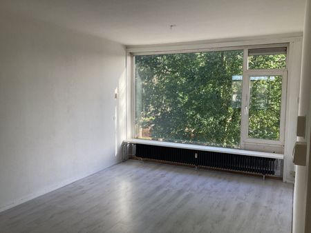 Te huur: Huis Iepenlaan in Groningen - Photo 2
