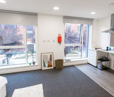 Large Premium Studio Accessible - Photo 1