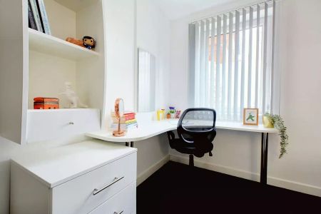 Studio Bronze - Photo 5