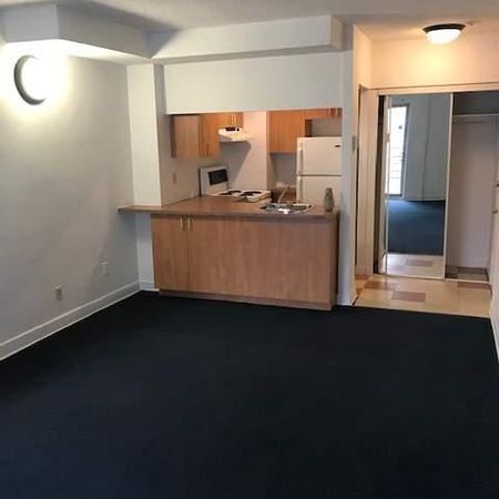 1 CH - 1 SDB - Montréal - $1,375 /mo - Photo 4