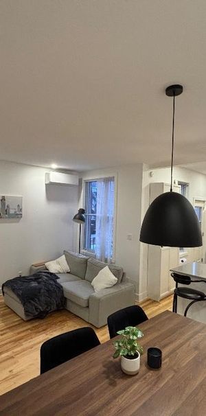 Magnifique 4 ½ entièrement rénové — 1000 pi² — Hochelaga-Maisonneuve — Disponible rapidement - Photo 1