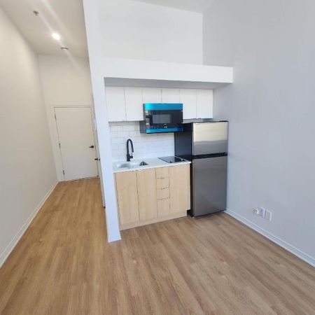 1 CH - 1 SDB - Montréal - $1,195 /mo - Photo 3