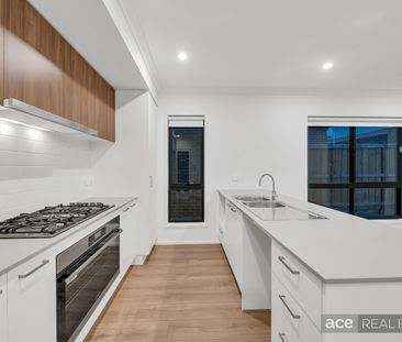 73 Cordata Drive, Point Cook VIC 3030 - House For Rent | Domain - Photo 1