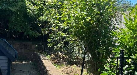 Charming 3BR Home in Bucklands Beach - Photo 3