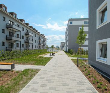 3-Zimmer-Wohnung mit Dachterrasse in Franklin! - Photo 3