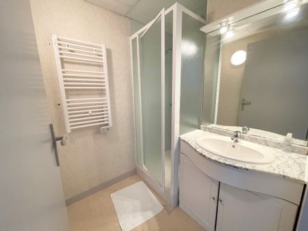 Location Appartement 1 pièce 23m² - Photo 5
