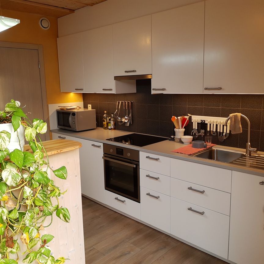 GLV appartement met veel licht - coho HuisElf - Photo 1