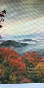 41/2 A louer Ste- Adèle - Photo 3