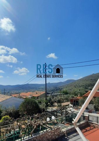 Διαμέρισμα για ενοικίαση Πλάκα (Κερατέα) - Φωτογραφία 2