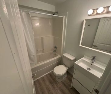 Newton 4 - 12021 55 ST NW — BSMT - Photo 6