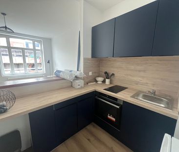 Location Appartement 1 pièce 27m² LILLE 59000 - Photo 5