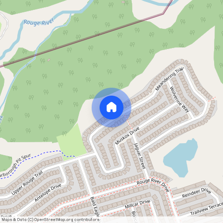 28 Meandering Trail Unit# Basement, Toronto