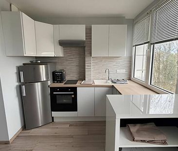 Appartement 2 pièces à Chelles (77500) - Photo 3