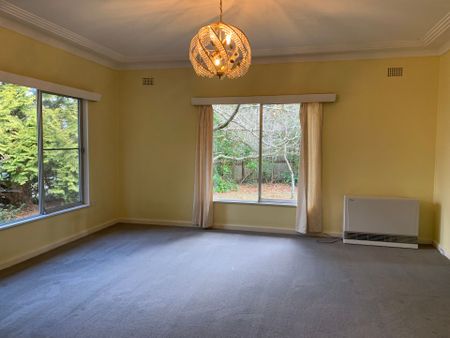 1950's Cottage on double block, walk to town - Photo 4