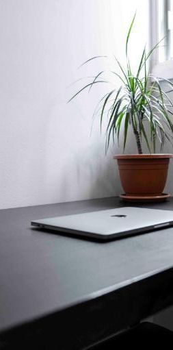 Studio rénové - Métro Crémazie - Photo 1