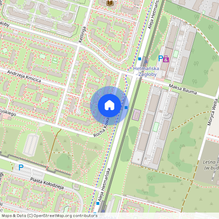 ul. Rocha Kowalskiego, Olechów, Widzew, Łódź, łódzkie