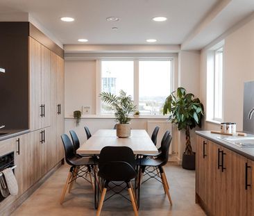 Flat share to rent - Photo 6