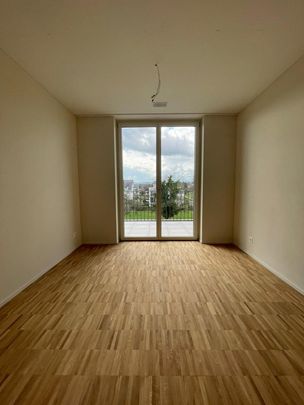 2.5 Zimmer, 57 m², 1. Stock - Photo 1