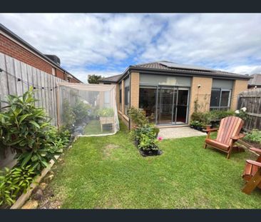 80 Springhill Drive, Cranbourne, Vic 3977 - Photo 5