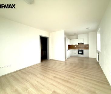 Pronájem bytu 2+kk v osobním vlastnictví 59 m², Plzeň - Photo 1