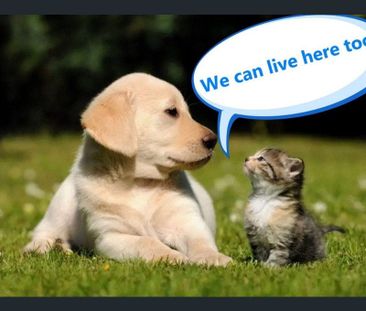 413/245 Pacific Highway, North Sydney NSW 2060 - Apartment For Rent... - Photo 4