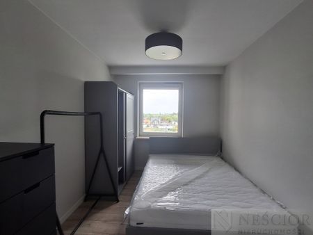 Siedlce - Zdjęcie 4