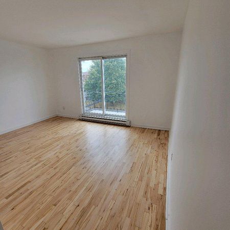 Grand 4 et demi ensoleillé à louer - Photo 3