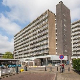 Volendamlaan 0ong, 2547 CH Den Haag, Nederland - Photo 1