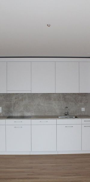 2.5 Zimmer, 56 m² - Photo 1