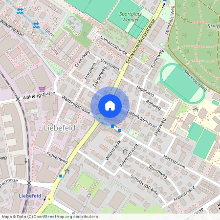 3097, Liebefeld, Schwarzenburgstrasse, 123