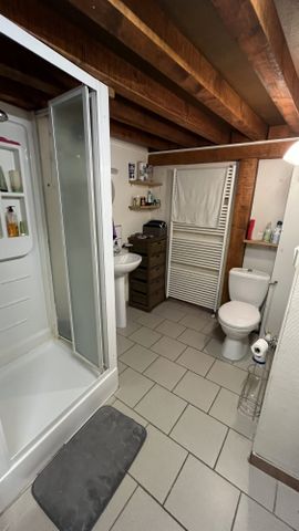 Location Appartement 1 pièce 57m² SIXT FER A CHEVAL 74740 - Photo 4