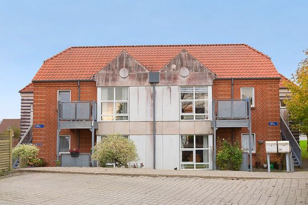 Afd. 6 Vestre Fasanvej - Photo 1